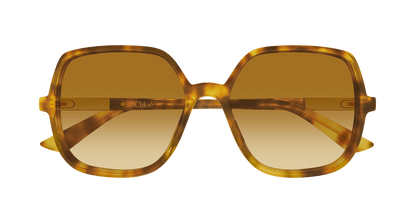 Chloé CH0362S Havana 004 889652646480