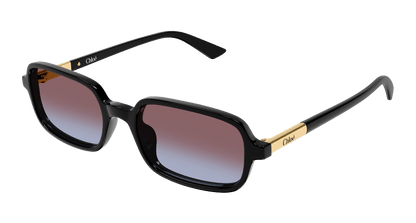 Chloé CH0363S Black 889652646503