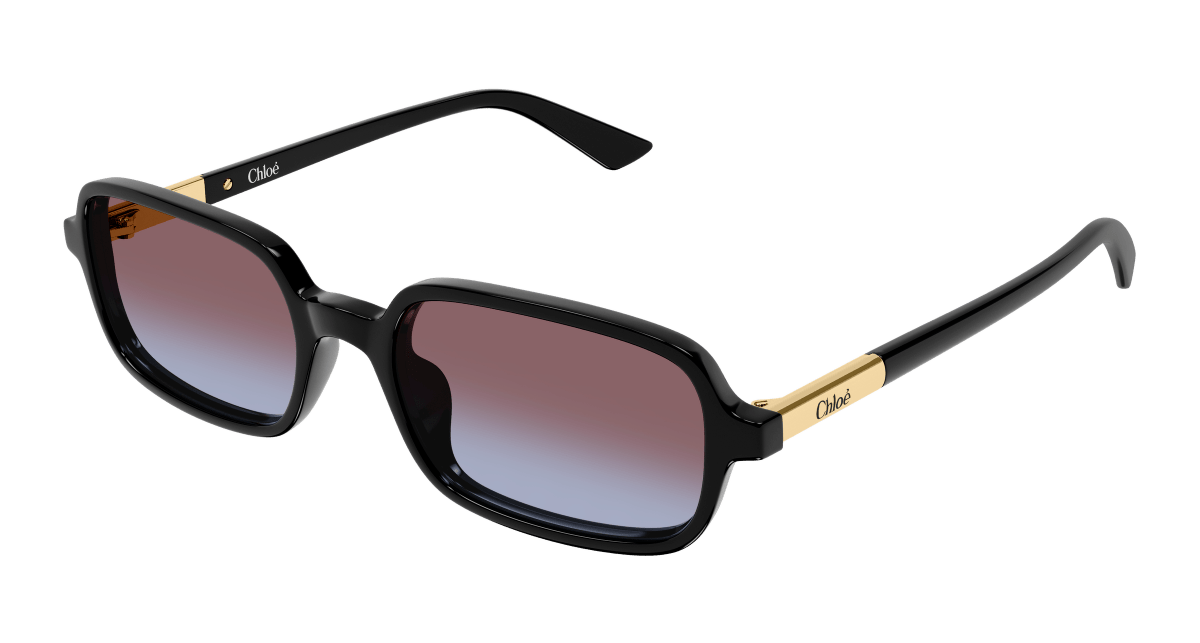 Chloé CH0363S Black 889652646503