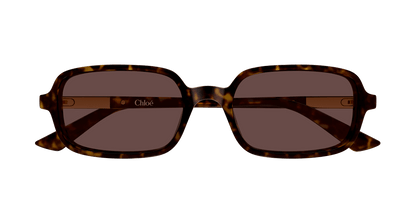 Chloé CH0363S Havana 002 889652646510
