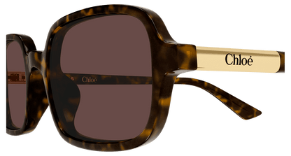 Chloé CH0363S Havana 002 889652646510