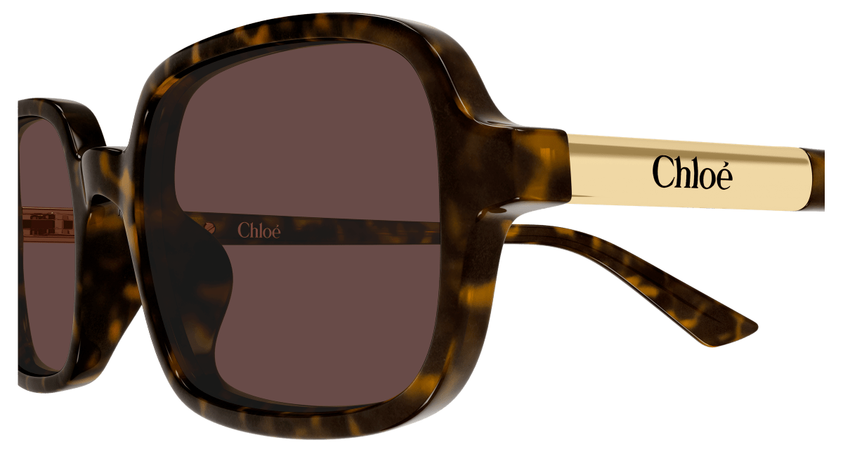 Chloé CH0363S Havana 002 889652646510