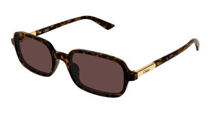 Chloé CH0363S Havana 002 889652646510