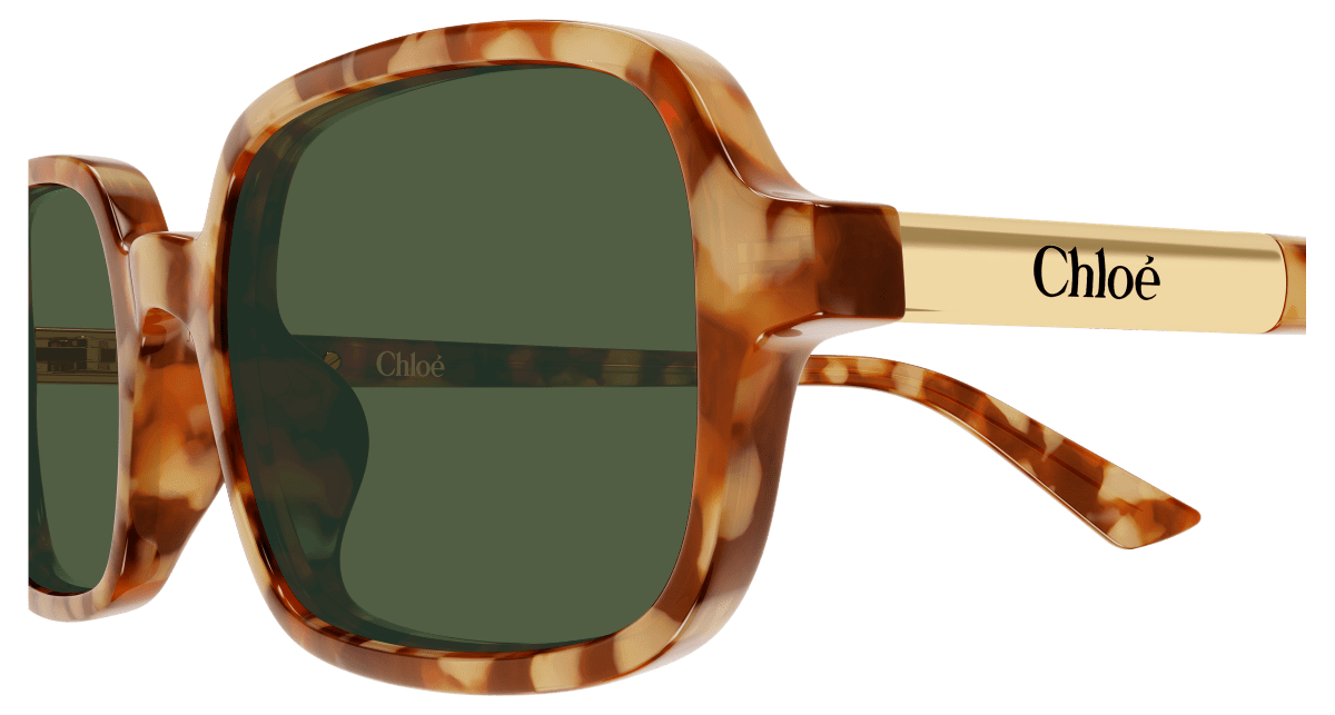 Chloé CH0363S Havana 003 889652646527