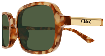 Chloé CH0363S Havana 003 889652646527
