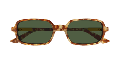 Chloé CH0363S Havana 003 889652646527