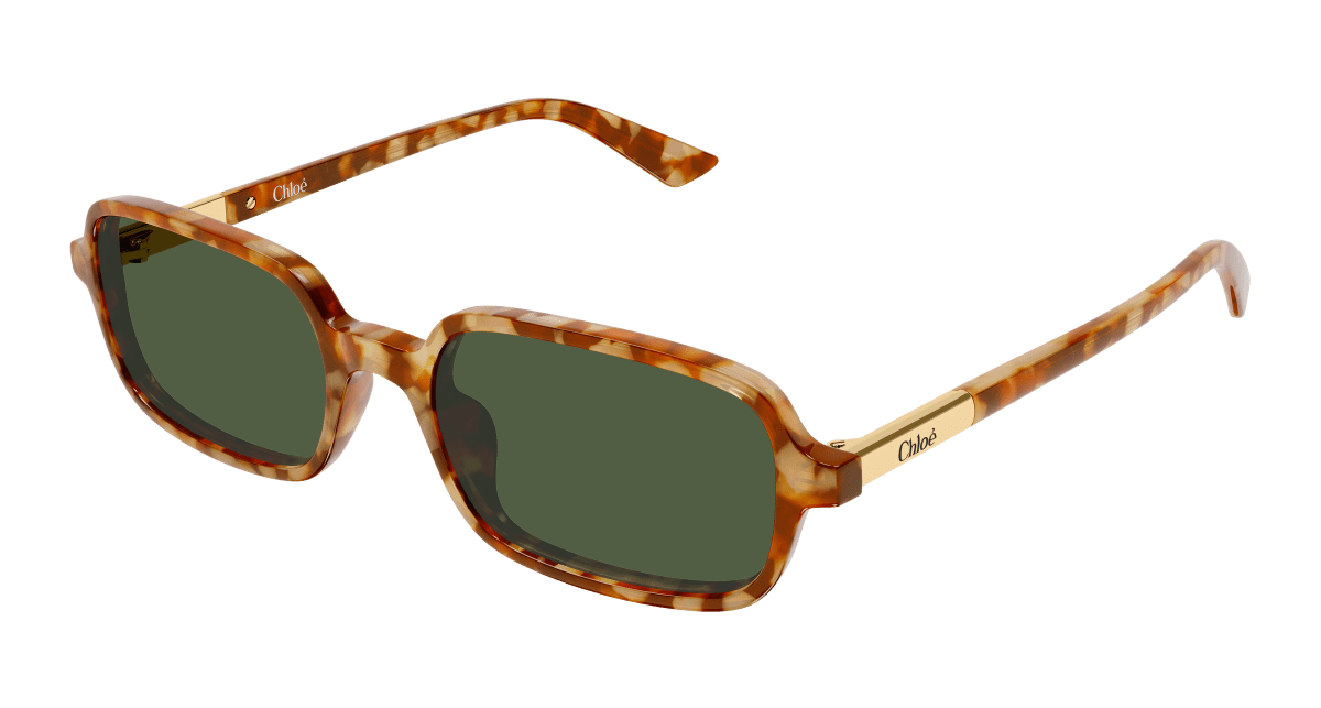 Chloé CH0363S Havana 003 889652646527