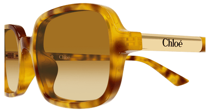 Chloé CH0363S Havana 004 889652646534