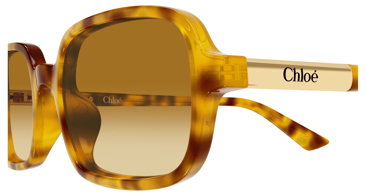 Chloé CH0363S Havana 004 889652646534