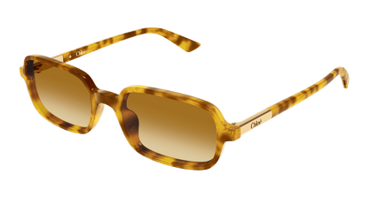 Chloé CH0363S Havana 004 889652646534