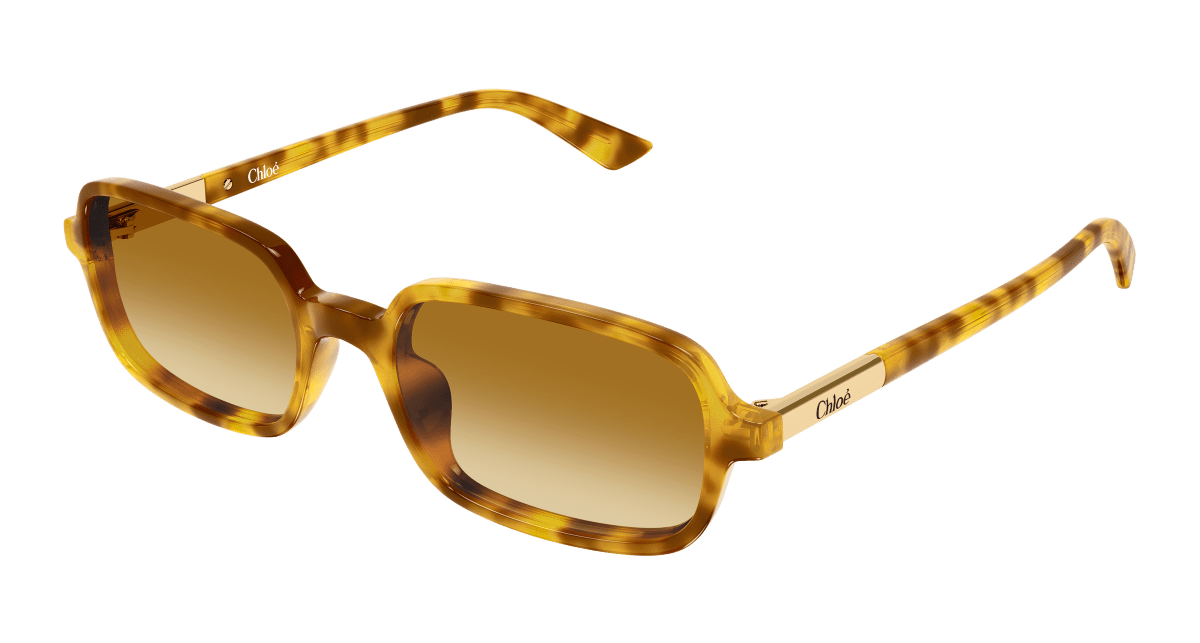 Chloé CH0363S Havana 004 889652646534