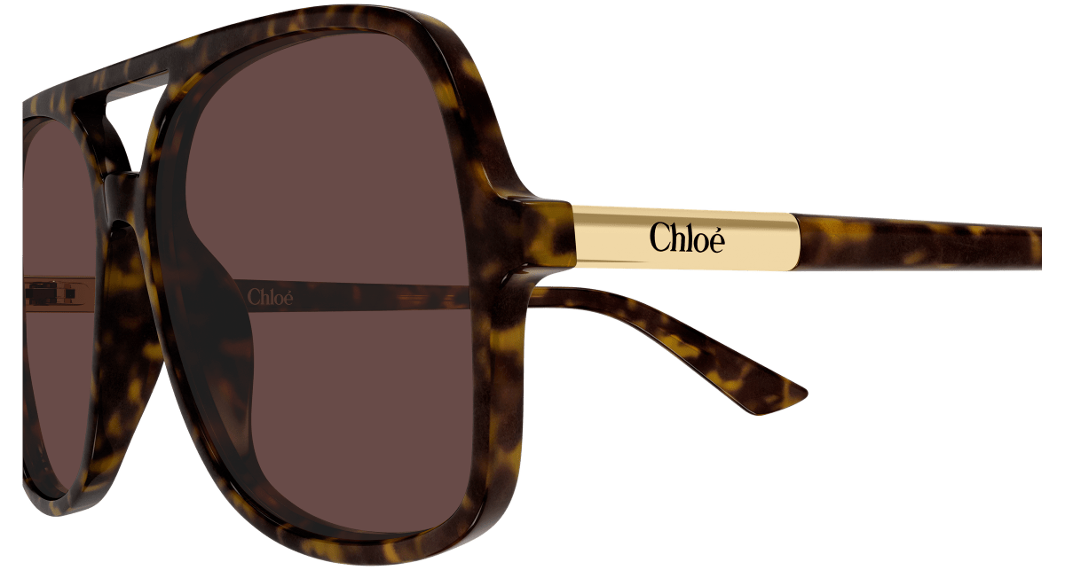 Chloé CH0364S Havana 002 889652646565