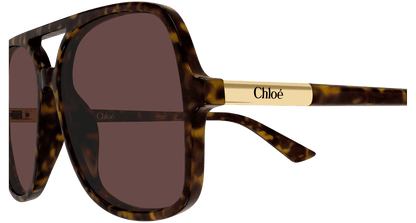 Chloé CH0364S Havana 002 889652646565