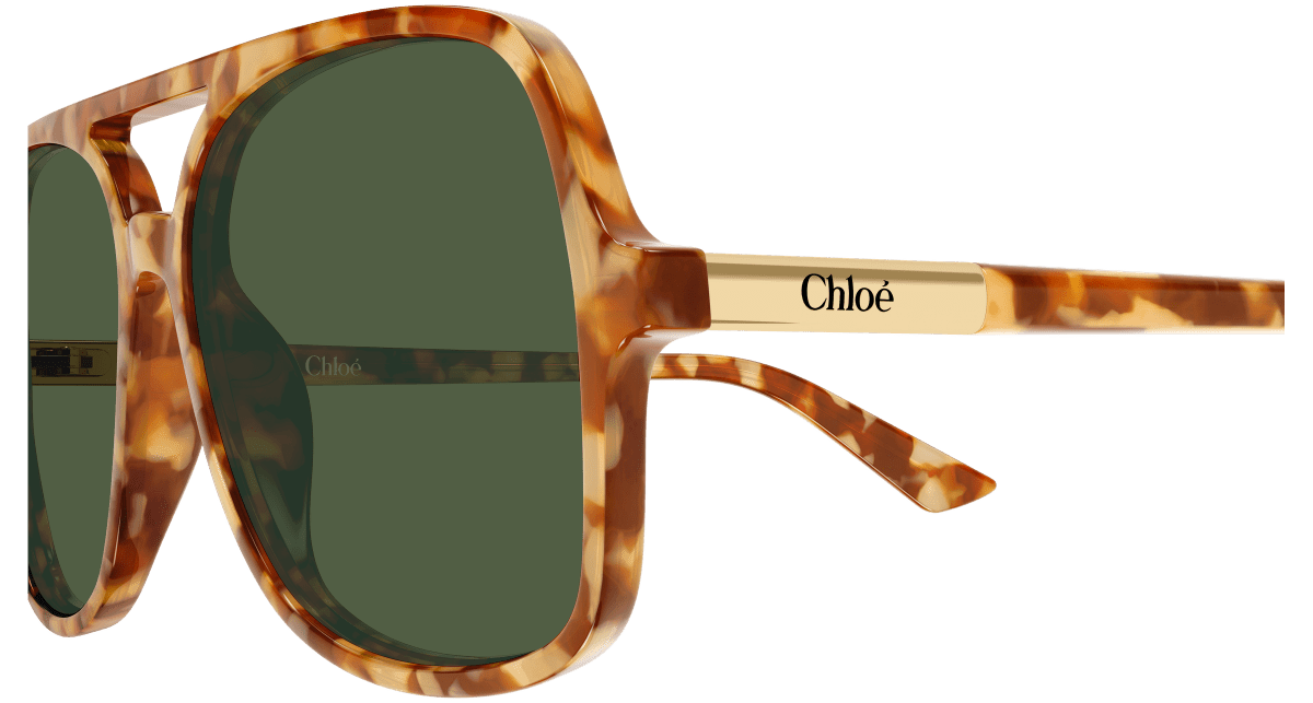 Chloé CH0364S Havana 003 889652646572