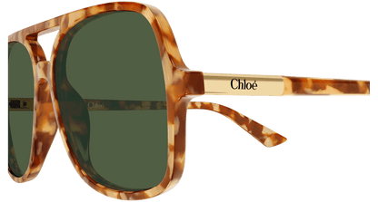 Chloé CH0364S Havana 003 889652646572