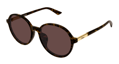 Chloé CH0365SK Havana 002 889652646619