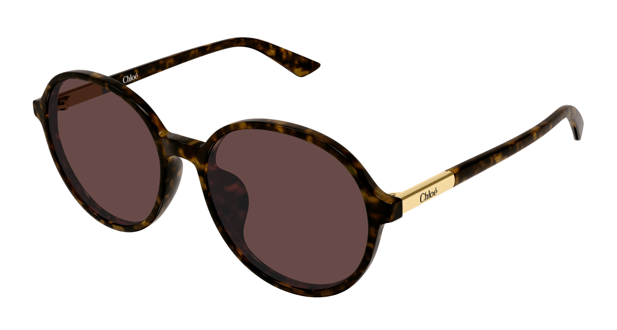 Chloé CH0365SK Havana 002 889652646619