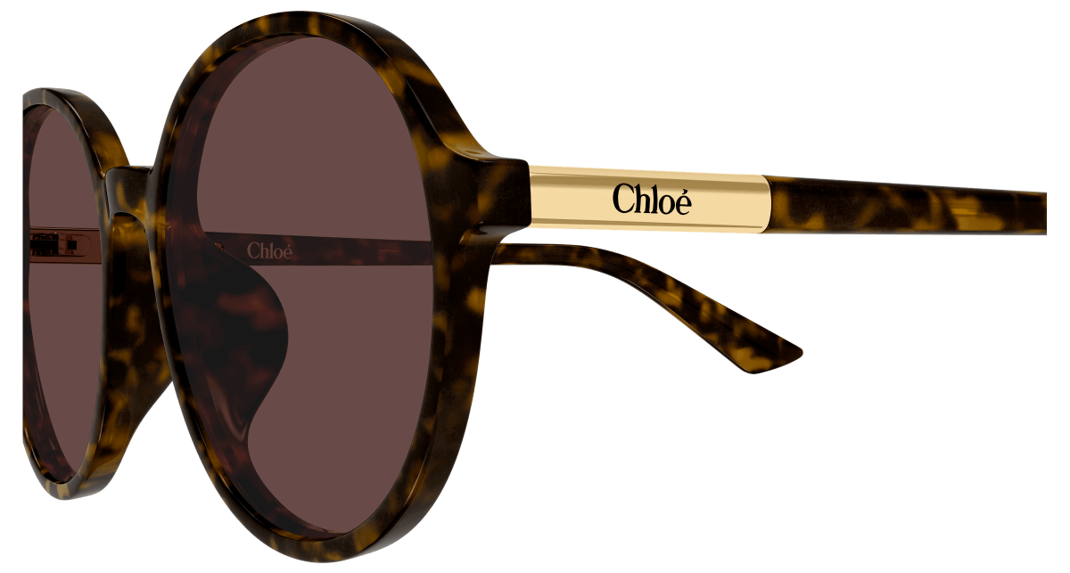 Chloé CH0365SK Havana 002 889652646619