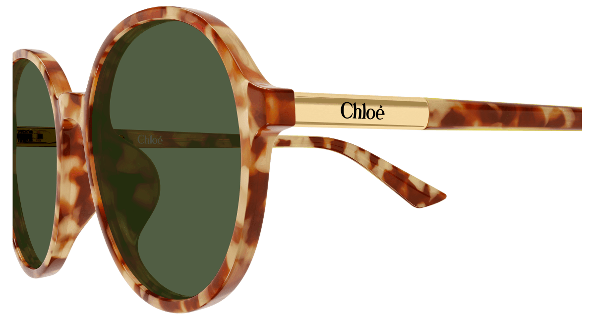 Chloé CH0365SK Havana 004 889652646633