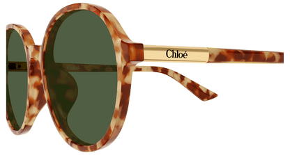 Chloé CH0365SK Havana 004 889652646633