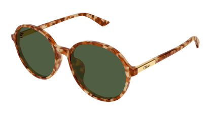 Chloé CH0365SK Havana 004 889652646633