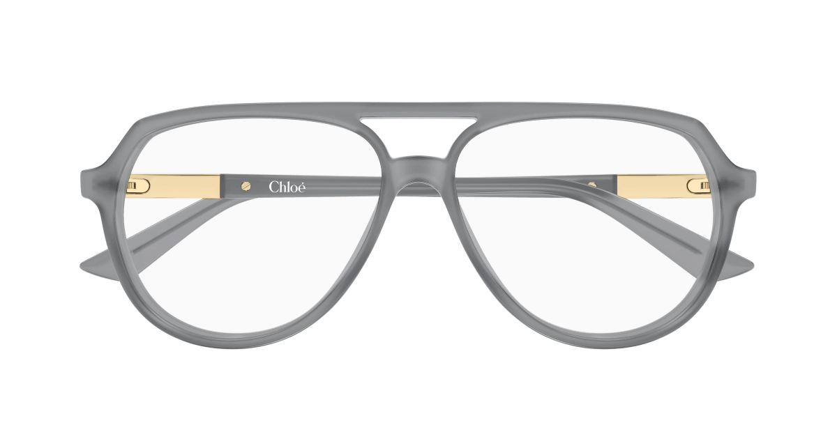 Chloé CH0366O Grey 889652646695