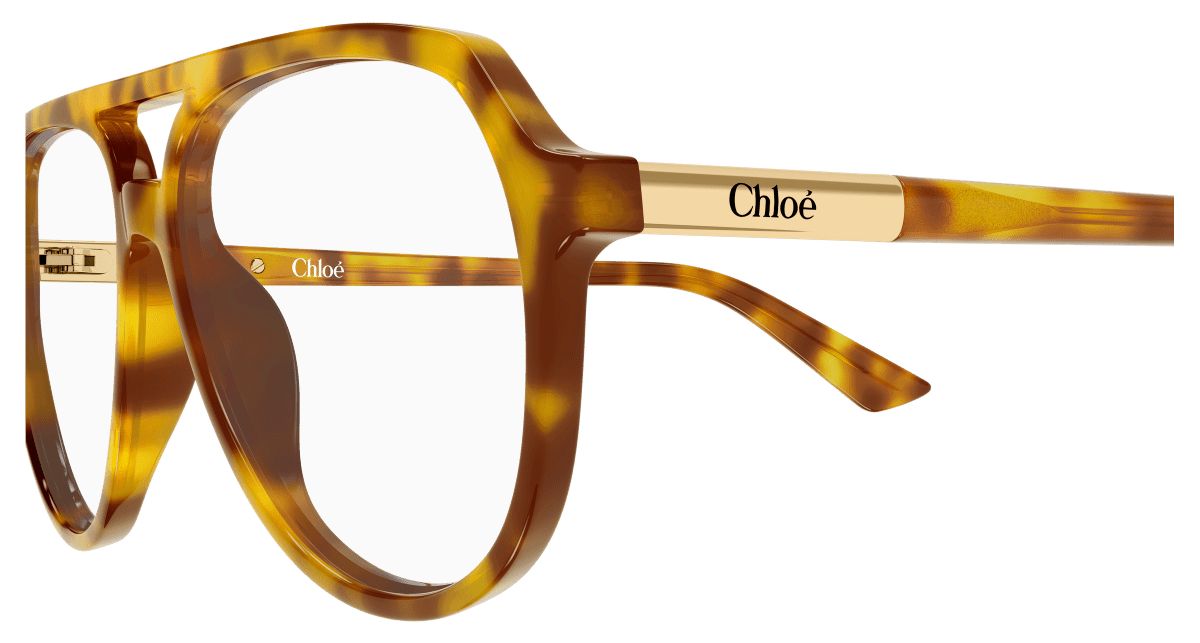 Chloé CH0366O Havana 003 889652646671