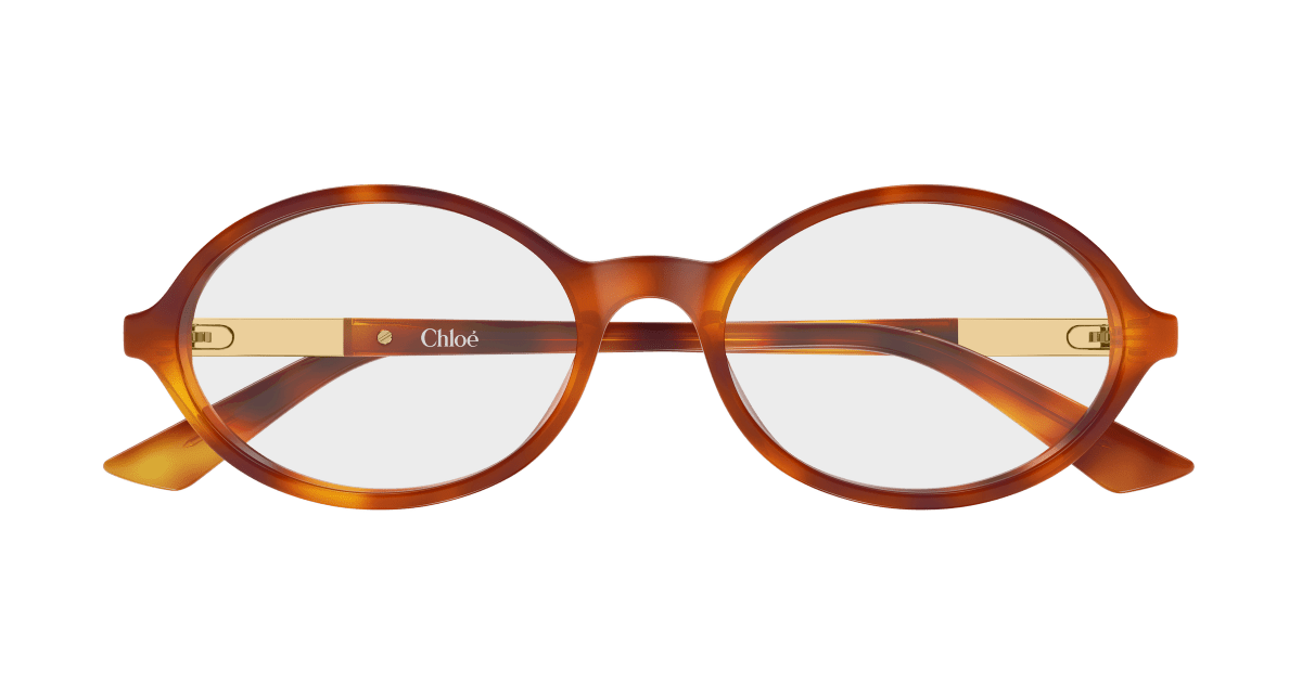 Chloé CH0367O Havana 002 889652646718