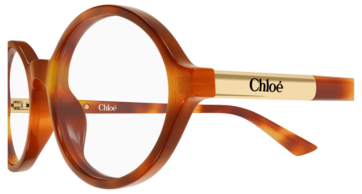 Chloé CH0367O Havana 002 889652646718