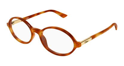 Chloé CH0367O Havana 002 889652646718
