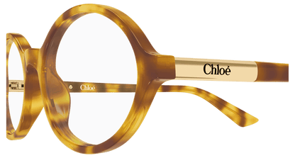 Chloé CH0367O Havana 003 889652646725