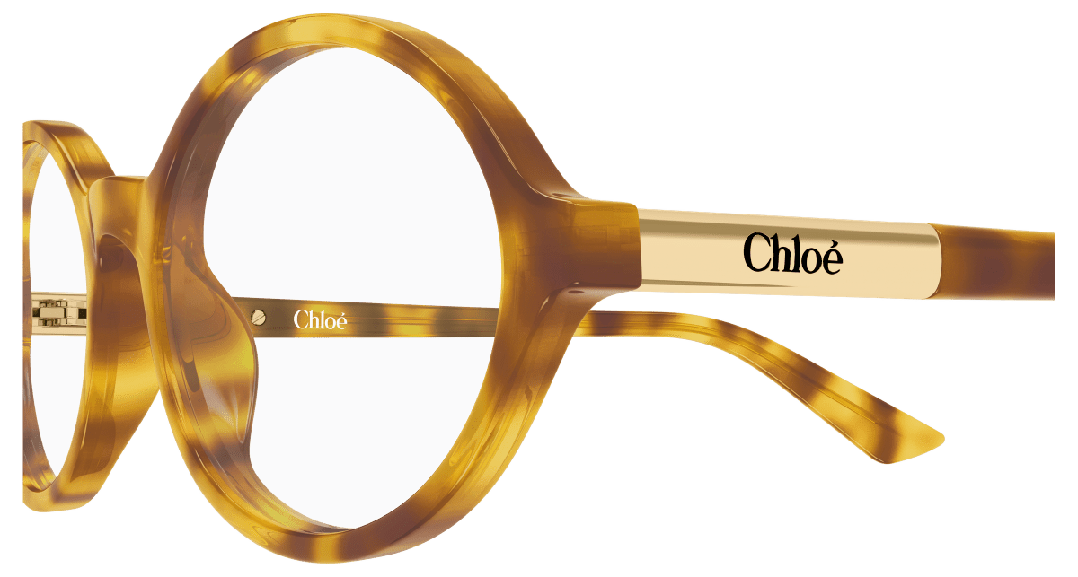 Chloé CH0367O Havana 003 889652646725
