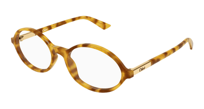Chloé CH0367O Havana 003 889652646725