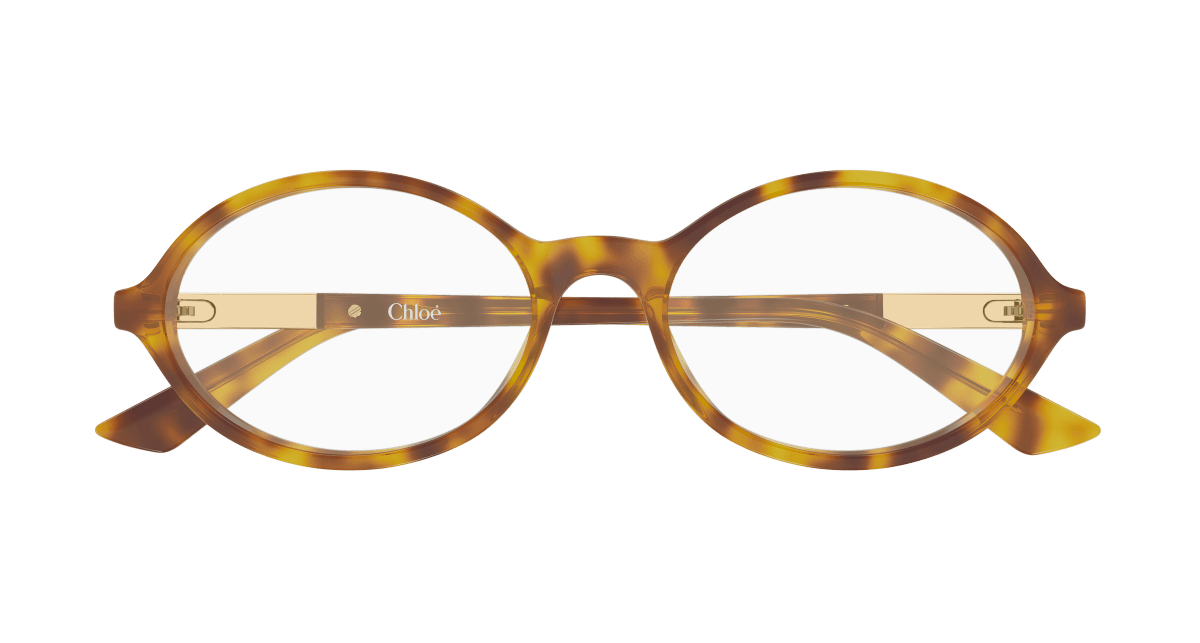 Chloé CH0367O Havana 003 889652646725