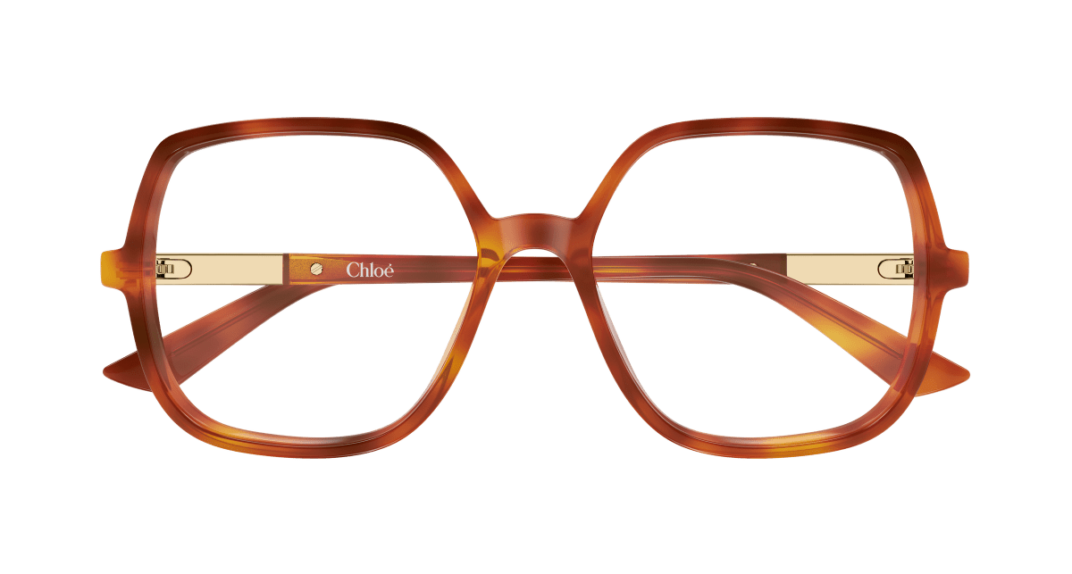 Chloé CH0368O Havana 002 889652646763