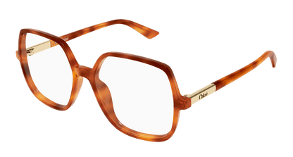Chloé CH0368O Havana 002 889652646763