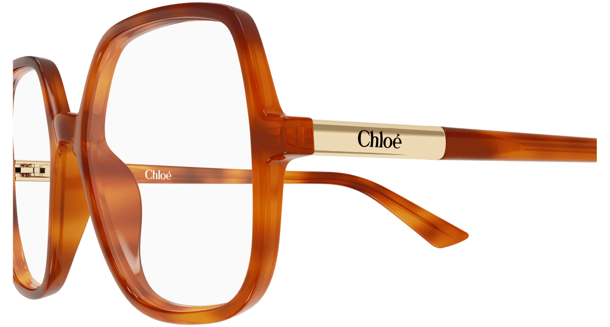 Chloé CH0368O Havana 002 889652646763