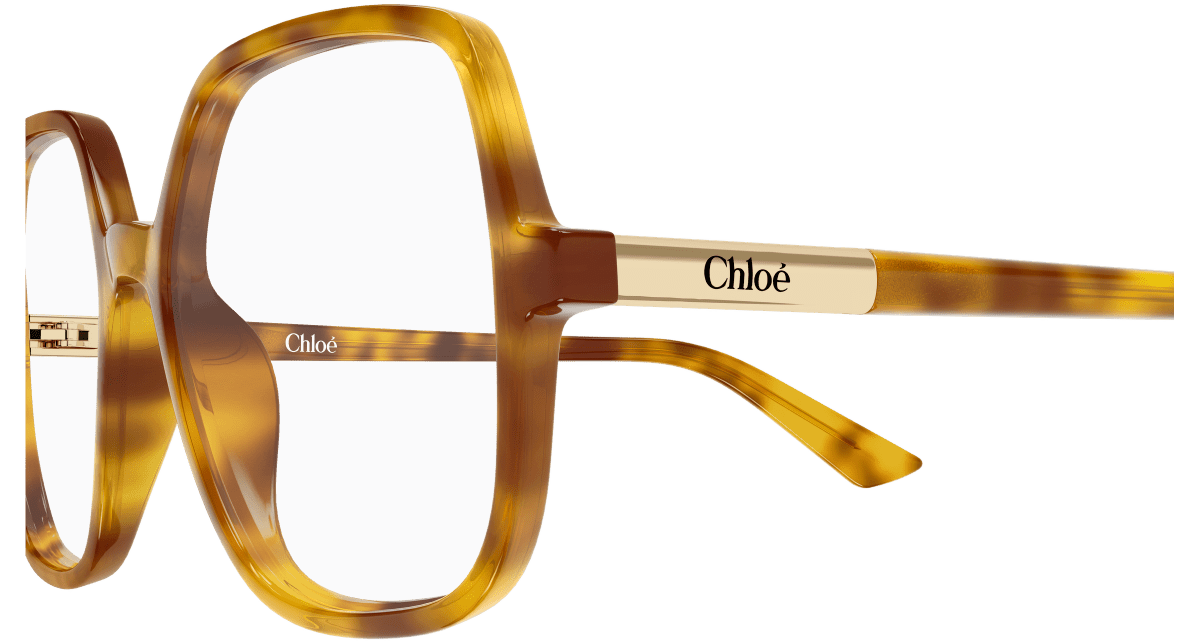 Chloé CH0368O Havana 003 889652646770