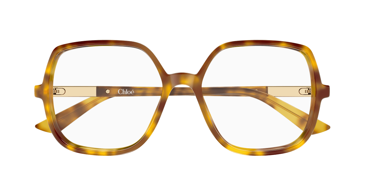 Chloé CH0368O Havana 003 889652646770