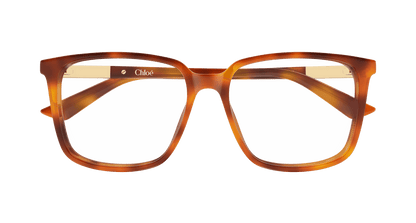 Chloé CH0369O Havana 002 889652646817