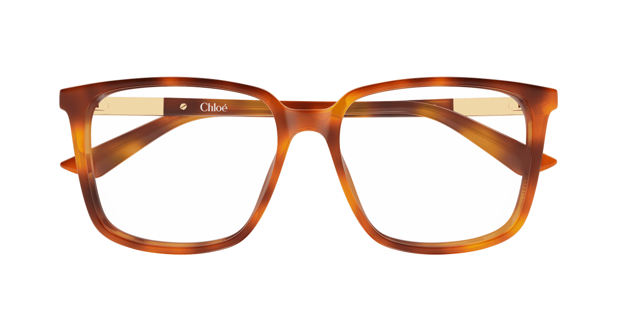 Chloé CH0369O Havana 002 889652646817