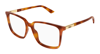 Chloé CH0369O Havana 002 889652646817