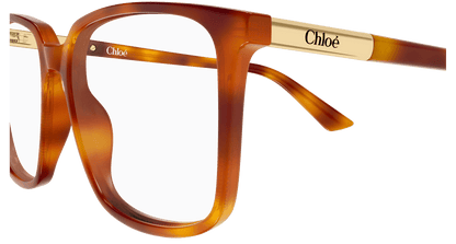 Chloé CH0369O Havana 002 889652646817