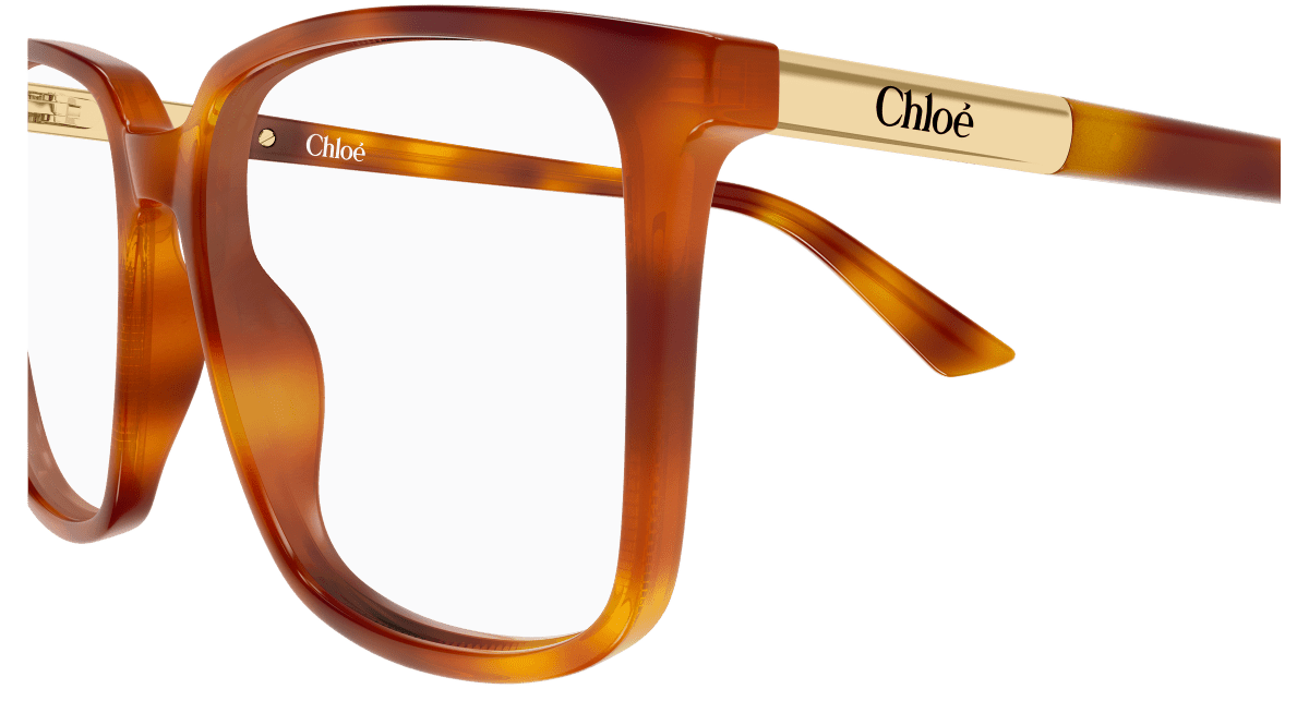 Chloé CH0369O Havana 002 889652646817