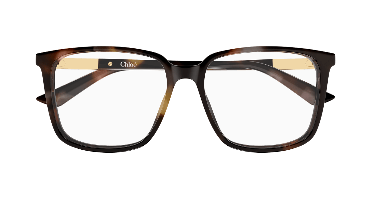 Chloé CH0369O Havana 003 889652646824