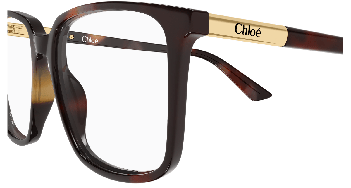 Chloé CH0369O Havana 003 889652646824