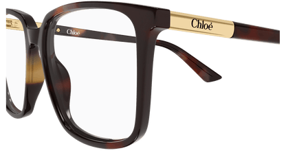 Chloé CH0369O Havana 003 889652646824