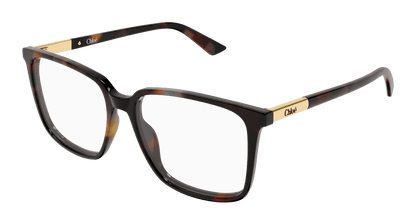 Chloé CH0369O Havana 003 889652646824