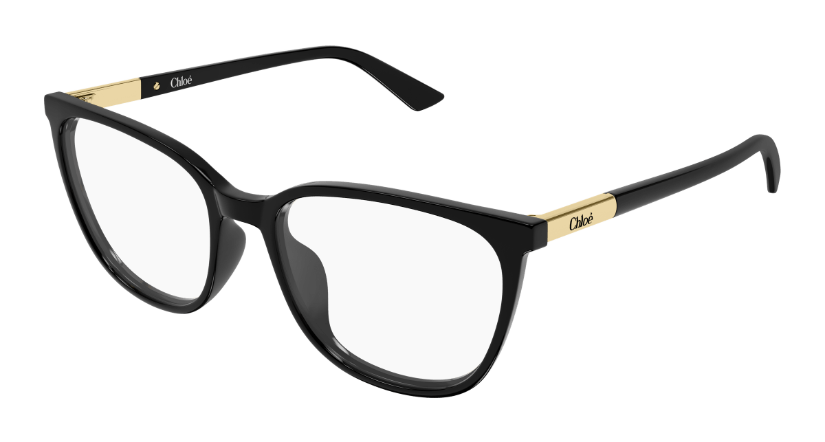 Chloé CH0370OL Black 889652646855