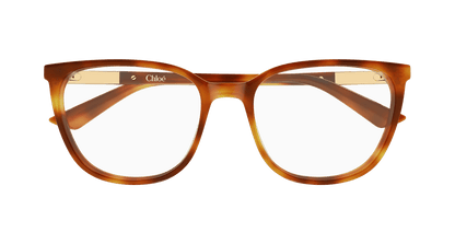 Chloé CH0370OL Havana 889652646862